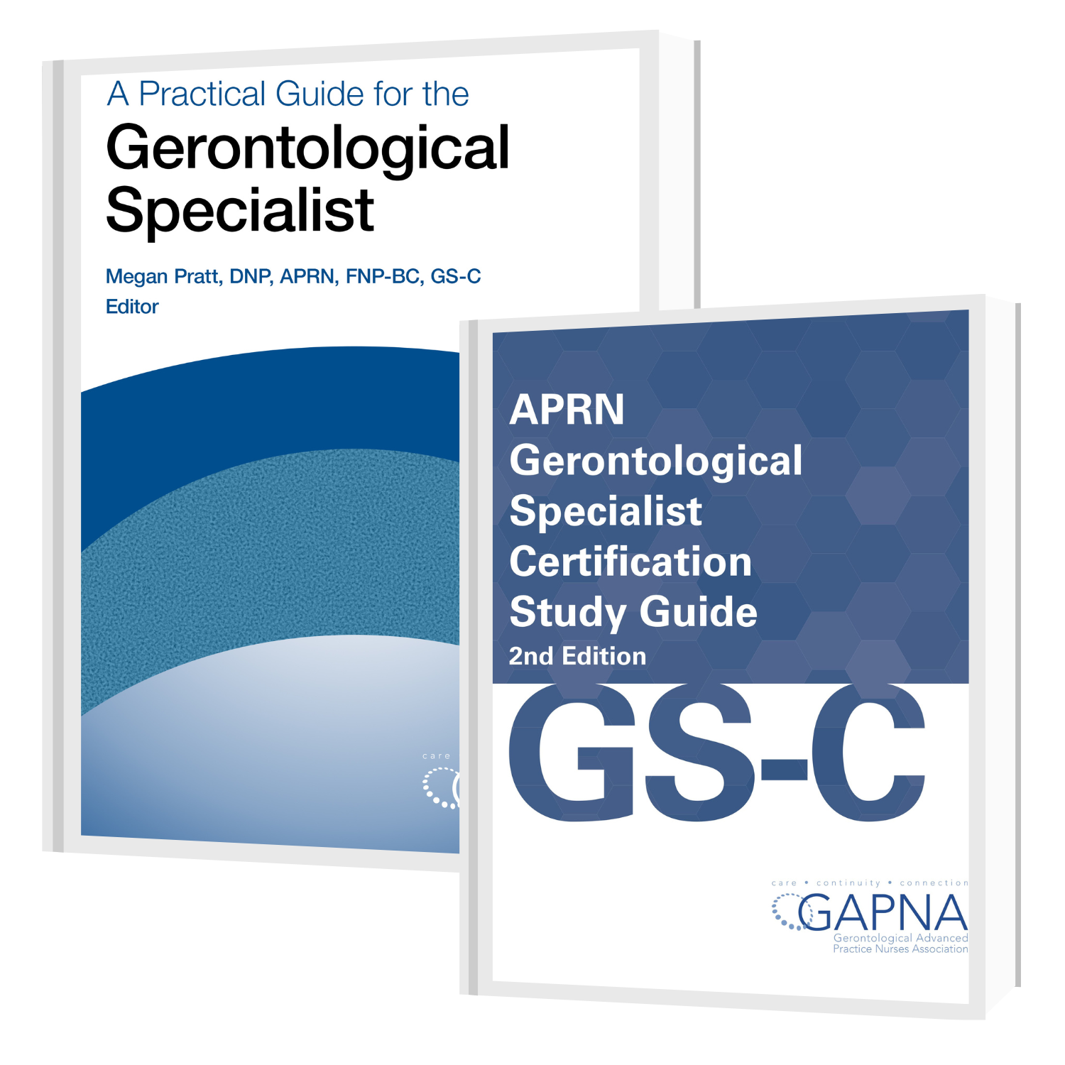 Gerontological Specialist Review Bundle